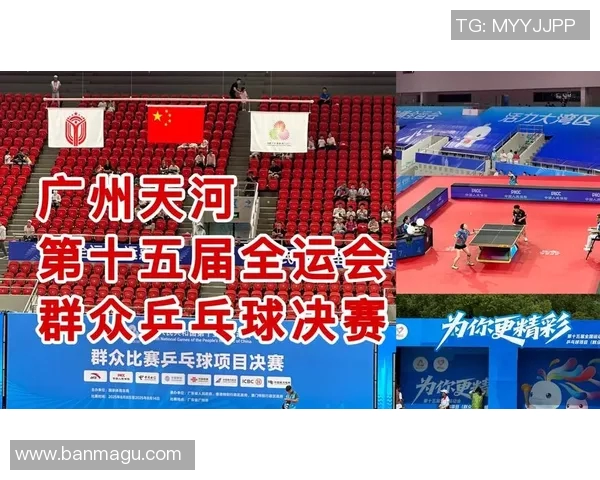 广州乒乓球队实力分析与发展潜力探讨全景观察